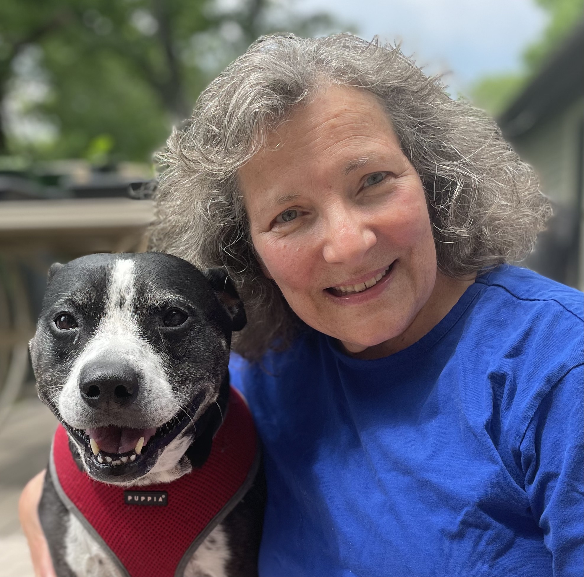 Allergy and Arthritis Alternatives for Pets